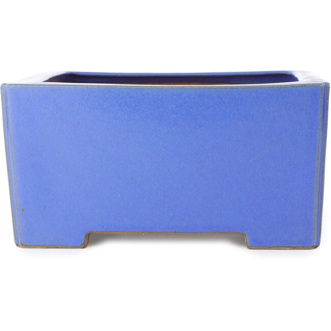 Pot à bonsaï carré bleu de Reiho - 238 x 230 x 115 mm