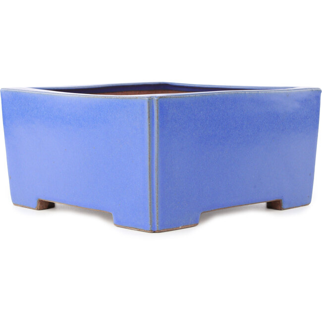 Vierkante blauwe bonsaipot van Reiho - 238 x 230 x 115 mm