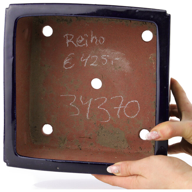 Maceta cuadrada azul oscuro para bonsái de Reiho - 235 x 230 x 135 mm
