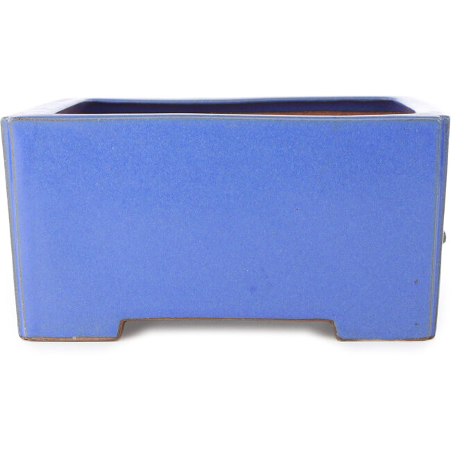 Vaso bonsai quadrato blu di Reiho - 238 x 230 x 115 mm