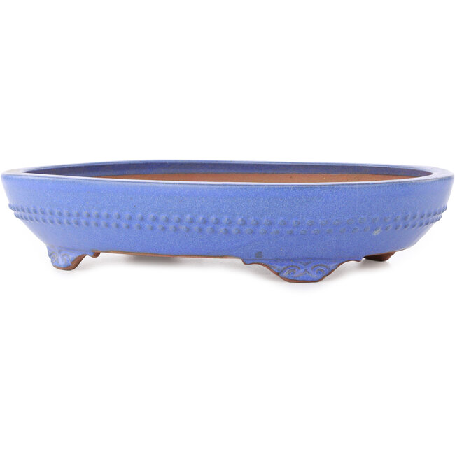 Vaso bonsai ovale blu di Reiho - 375 x 278 x 75 mm