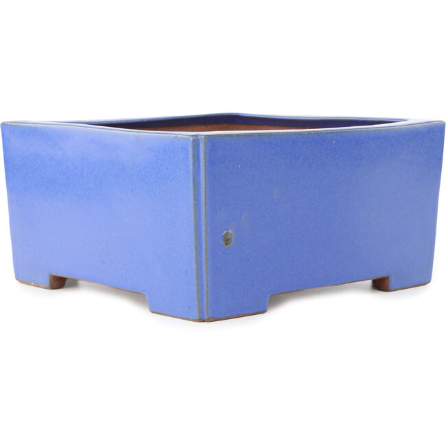 Vaso bonsai quadrato blu di Reiho - 238 x 230 x 115 mm