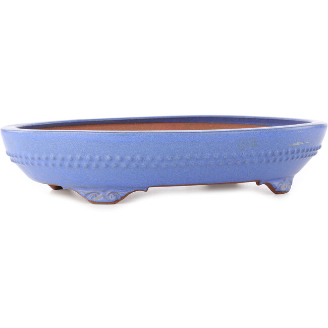 Oval blue bonsai pot by Reiho - 375 x 278 x 75 mm