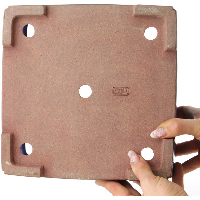 Maceta cuadrada azul para bonsái de Reiho - 238 x 230 x 115 mm