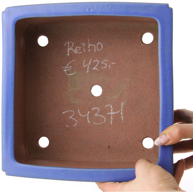 Pot à bonsaï carré bleu de Reiho - 238 x 230 x 115 mm