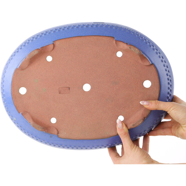 Maceta ovalada azul para bonsái de Reiho - 375 x 278 x 75 mm