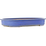 Pot à bonsaï ovale bleu de Reiho - 635 x 447 x 90 mm