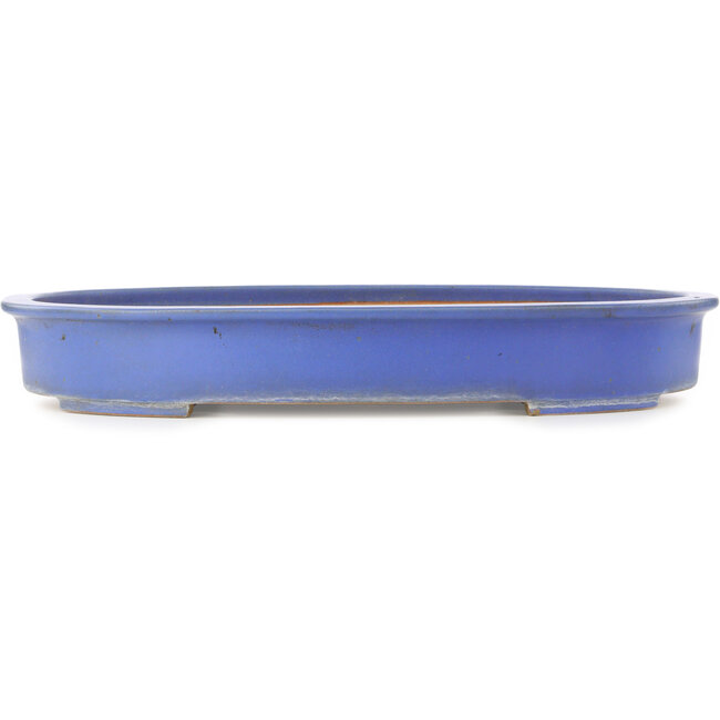 Vaso bonsai ovale blu di Reiho - 635 x 447 x 90 mm