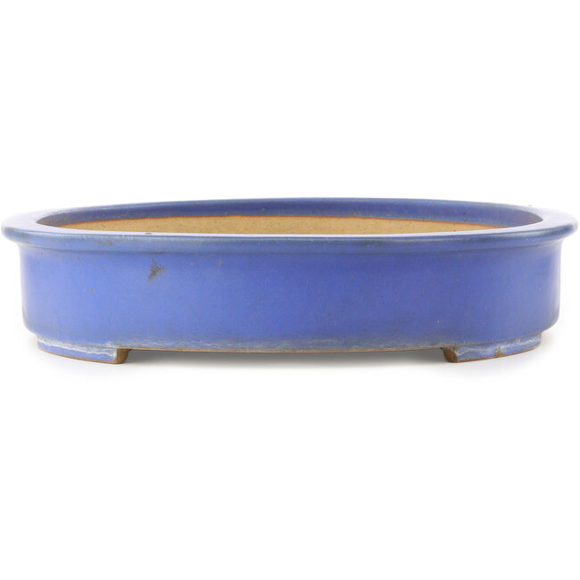Oval blue bonsai pot by Reiho - 635 x 447 x 90 mm