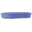 Pot à bonsaï ovale bleu de Reiho - 635 x 447 x 90 mm