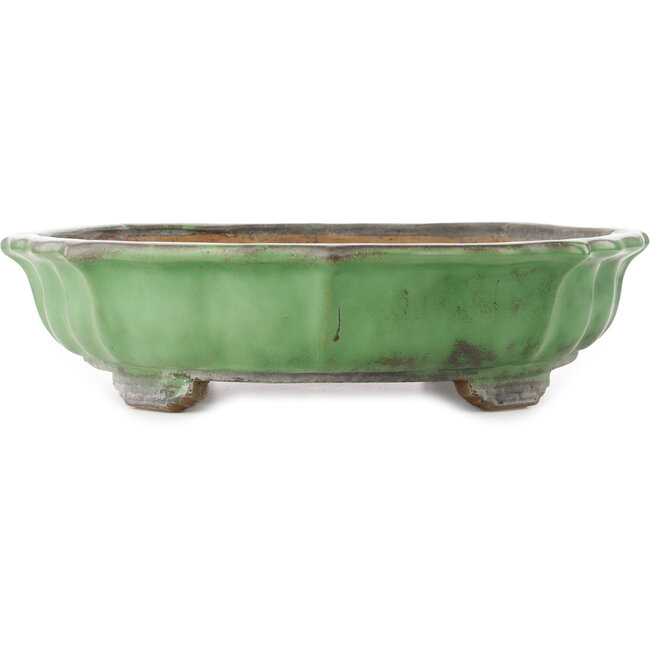 Lotus green bonsai pot by Shuhou - 460 x 460 x 120 mm