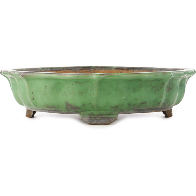 Lotus green bonsai pot by Shuhou - 460 x 460 x 120 mm