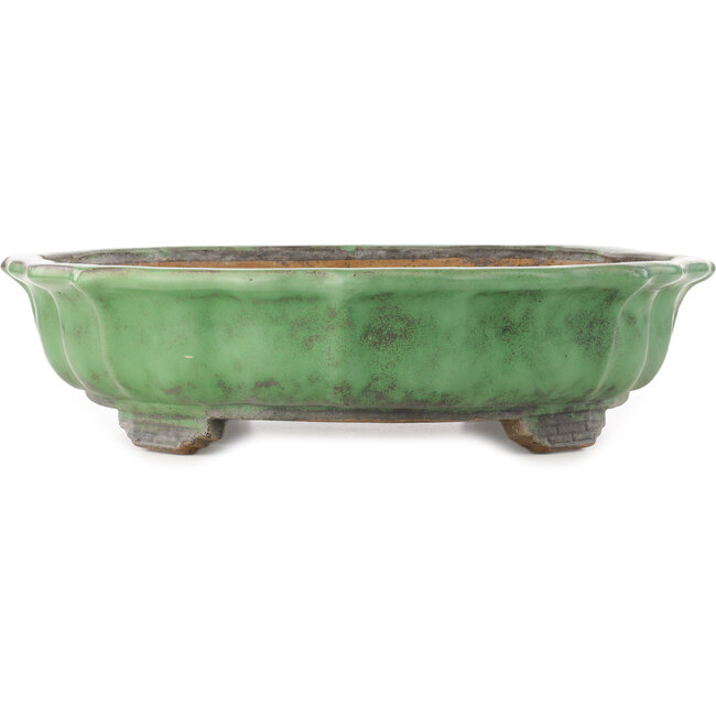 Vaso bonsai verde loto di Shuhou - 460 x 460 x 120 mm