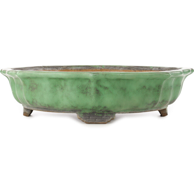 Lotus green bonsai pot by Shuhou - 460 x 460 x 120 mm