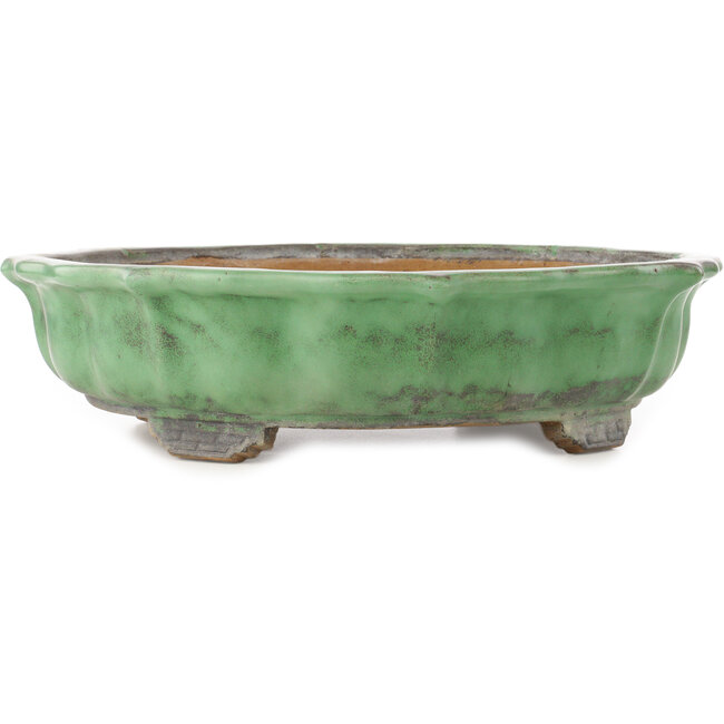 Pot à bonsaï Lotus vert de Shuhou - 460 x 460 x 120 mm