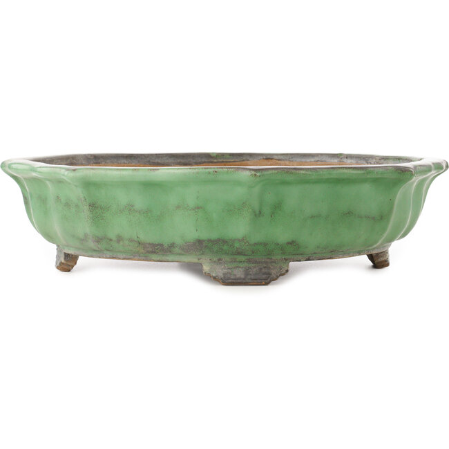 Lotus green bonsai pot by Shuhou - 460 x 460 x 120 mm
