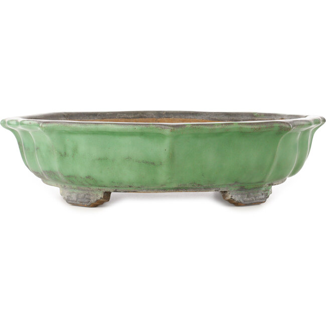 Lotus green bonsai pot by Shuhou - 460 x 460 x 120 mm