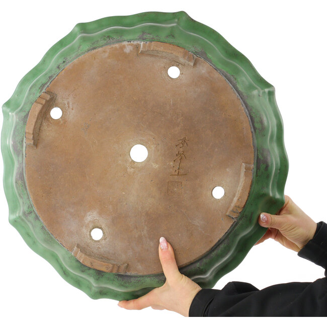 Lotus green bonsai pot by Shuhou - 460 x 460 x 120 mm