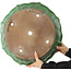 Pot à bonsaï Lotus vert de Shuhou - 460 x 460 x 120 mm