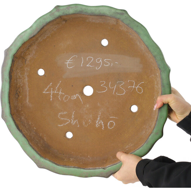 Vaso bonsai verde loto di Shuhou - 460 x 460 x 120 mm