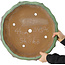 Lotus green bonsai pot by Shuhou - 460 x 460 x 120 mm