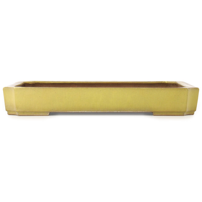 Rectangular yellow bonsai pot by Reiho - 475 x 328 x 65 mm