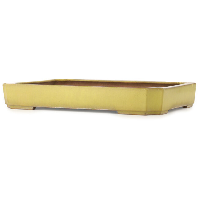Rechthoekige gele bonsai pot van Reiho - 475 x 328 x 65 mm