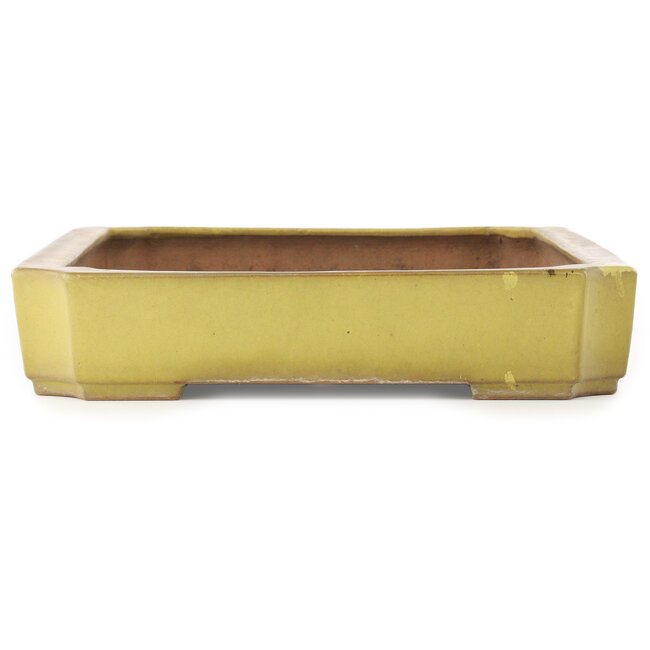Maceta rectangular amarilla para bonsái de Reiho - 475 x 328 x 65 mm