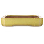 Rectangular yellow bonsai pot by Reiho - 475 x 328 x 65 mm