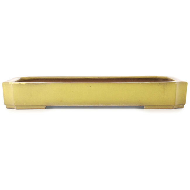 Pot à bonsaï rectangulaire jaune de Reiho - 475 x 328 x 65 mm
