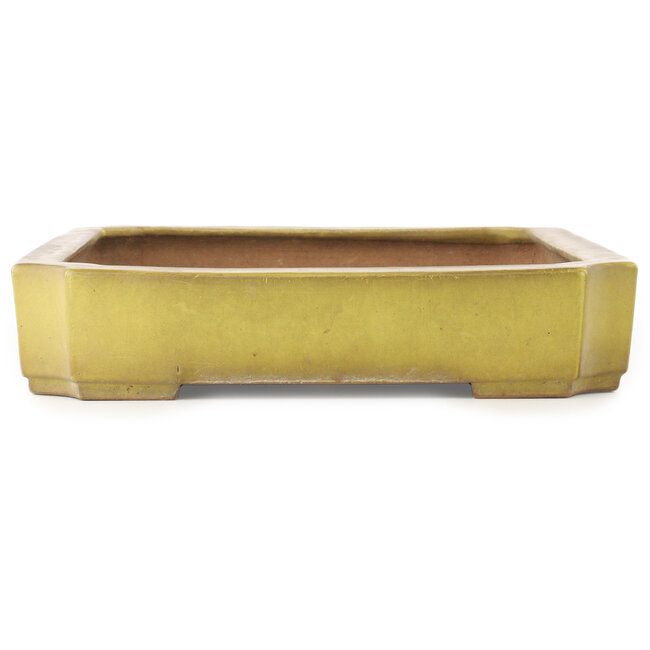 Pot à bonsaï rectangulaire jaune de Reiho - 475 x 328 x 65 mm