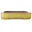 Rectangular yellow bonsai pot by Reiho - 475 x 328 x 65 mm
