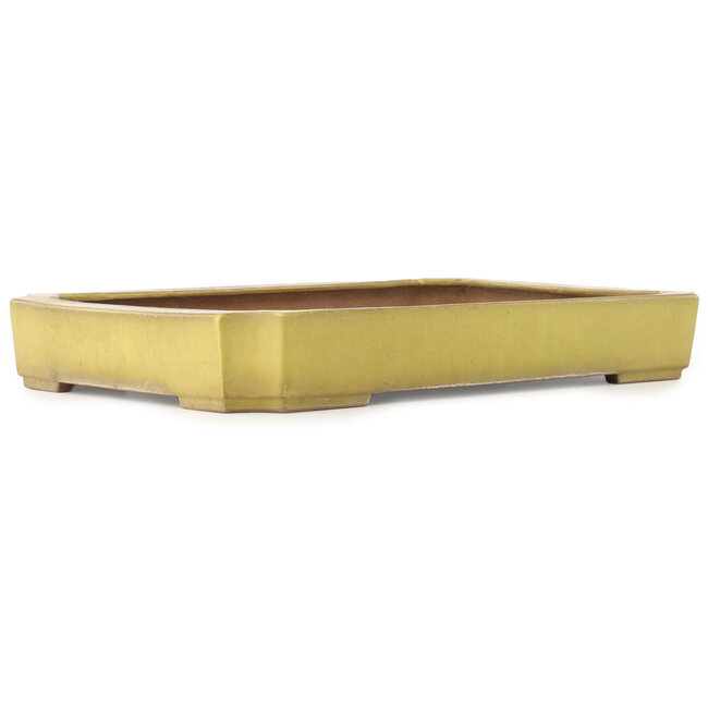 Maceta rectangular amarilla para bonsái de Reiho - 475 x 328 x 65 mm