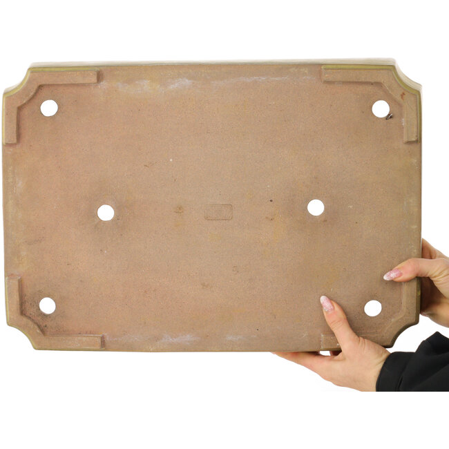 Pot à bonsaï rectangulaire jaune de Reiho - 475 x 328 x 65 mm