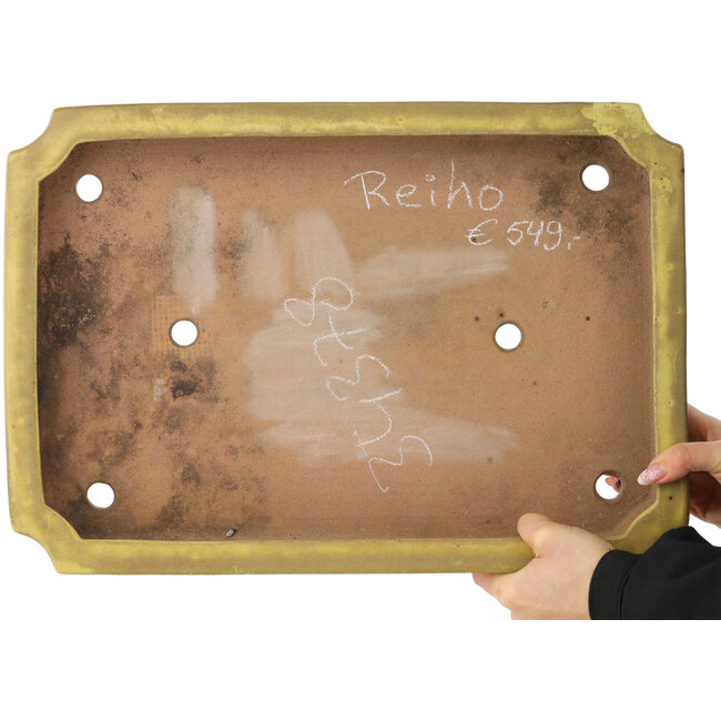 Pot à bonsaï rectangulaire jaune de Reiho - 475 x 328 x 65 mm