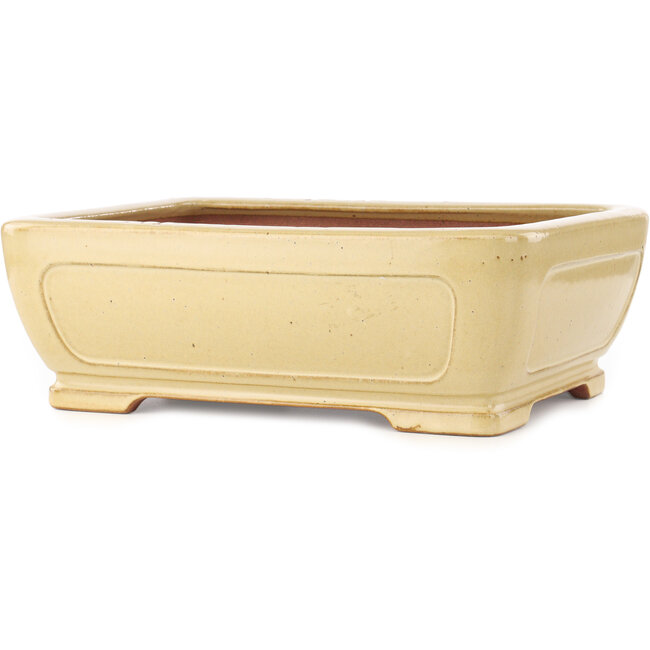 Maceta rectangular beige para bonsái de Reiho - 410 x 318 x 137 mm