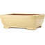 Rectangular beige bonsai pot by Reiho - 410 x 318 x 137 mm