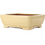 Rectangular beige bonsai pot by Reiho - 410 x 318 x 137 mm