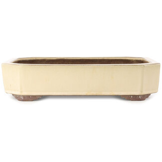  Yamaaki Maceta para bonsái rectangular de color blanquecino de 413 mm de Yamaaki, Tokoname, Japón