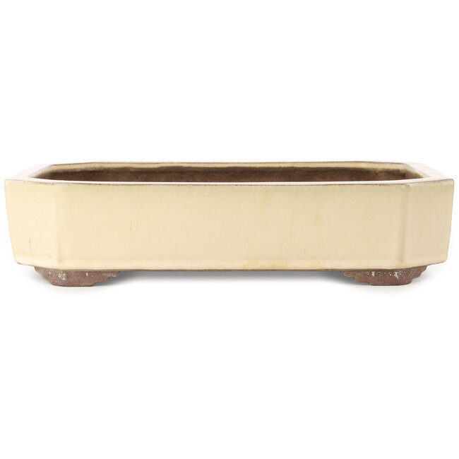 Rectangular off-white bonsai pot by Yamaaki - 413 x 320 x 95 mm