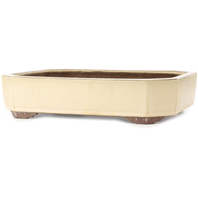 Maceta rectangular para bonsái en color blanco roto de Yamaaki - 413 x 320 x 95 mm