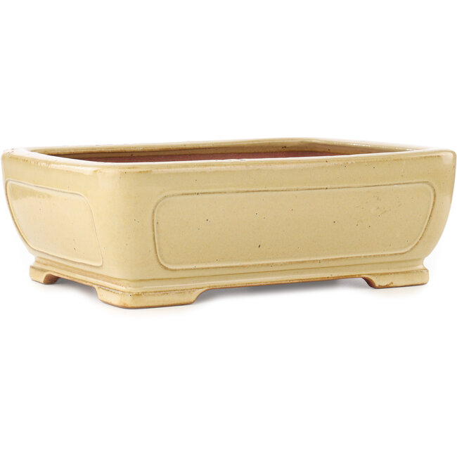Maceta rectangular beige para bonsái de Reiho - 410 x 318 x 137 mm