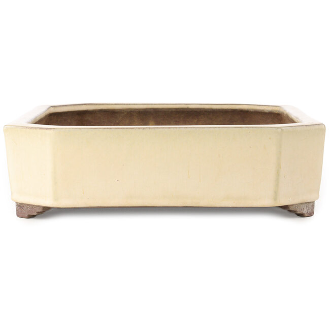 Rectangular off-white bonsai pot by Yamaaki - 413 x 320 x 95 mm