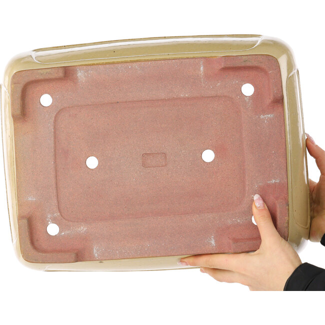 Maceta rectangular beige para bonsái de Reiho - 410 x 318 x 137 mm