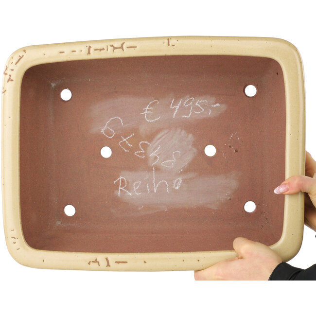 Maceta rectangular beige para bonsái de Reiho - 410 x 318 x 137 mm