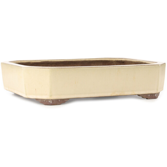 Vaso bonsai rettangolare bianco sporco di Yamaaki - 413 x 320 x 95 mm