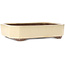 Maceta rectangular para bonsái en color blanco roto de Yamaaki - 413 x 320 x 95 mm