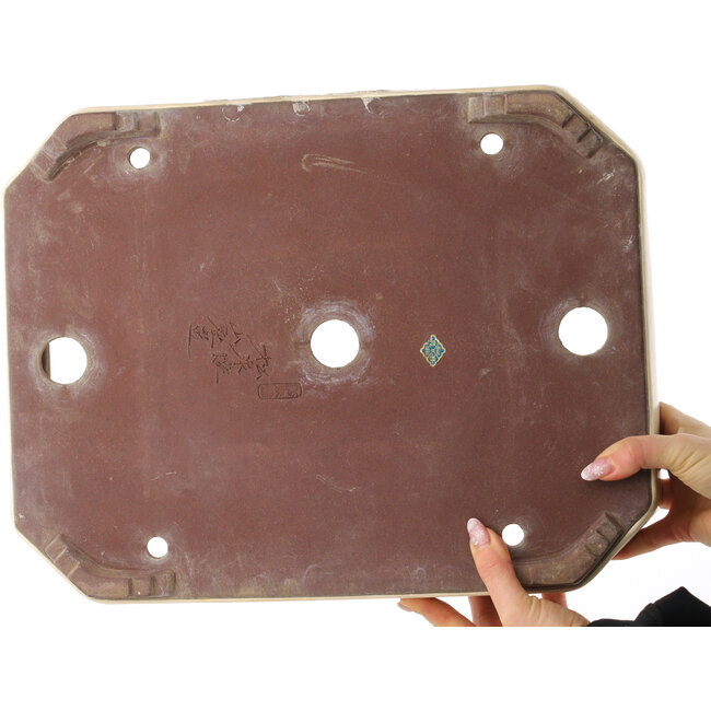 Maceta rectangular para bonsái en color blanco roto de Yamaaki - 413 x 320 x 95 mm