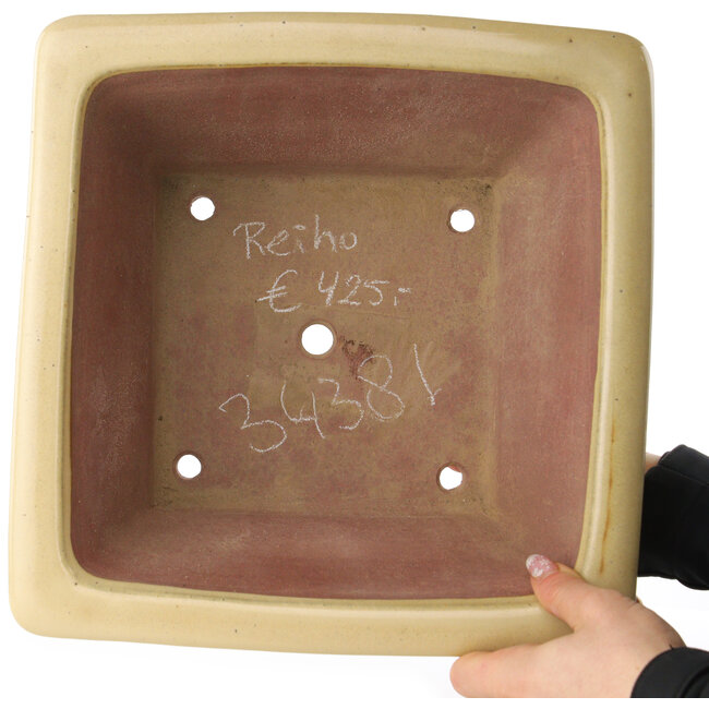 Square beige bonsai pot by Reiho - 290 x 285 x 145 mm