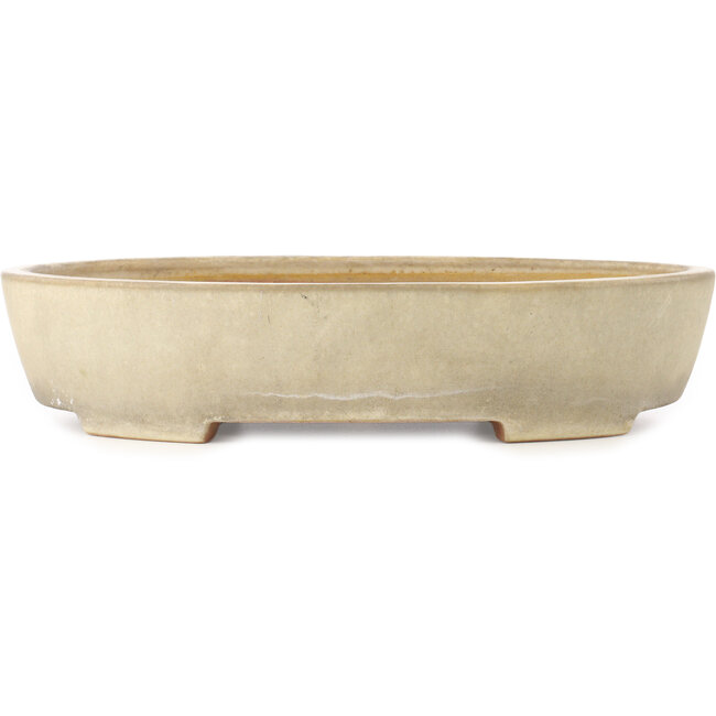 Oval off-white bonsai pot by Yamafusa - 410 x 315 x 85 mm